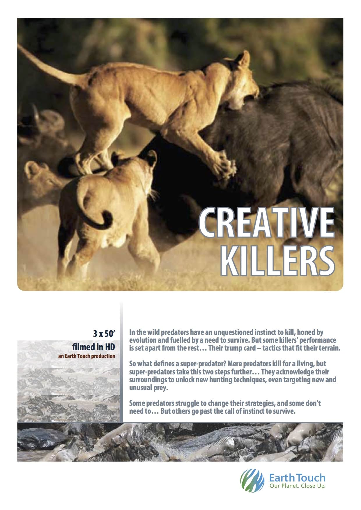     Creative Killers: Coliseum